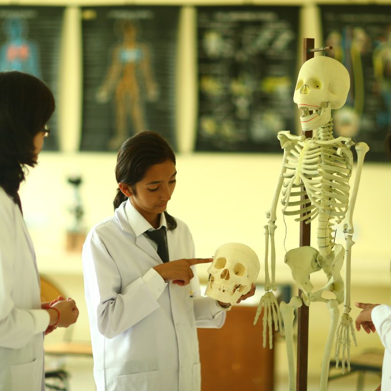 Siddhartha College of Nursing